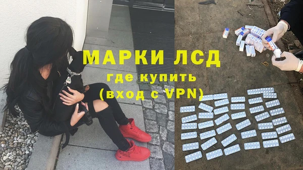 хмурый Алексеевка