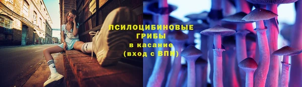 не бодяженный Алзамай