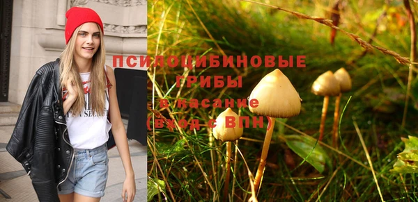 2c-b Алексин